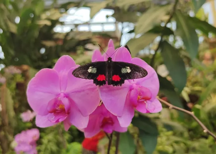 Nyaraló Casa Emilia Los Silos