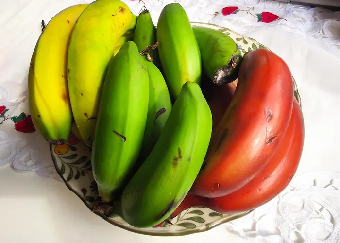 Feriehus Casa Emilia *