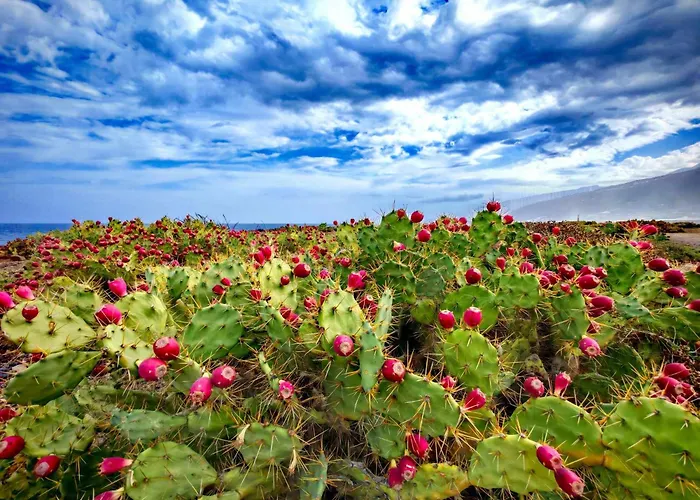 Nyaraló Casa Emilia Los Silos