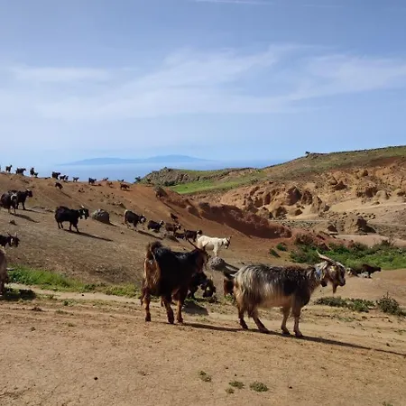 Tatil Evi Casa Emilia Los Silos
