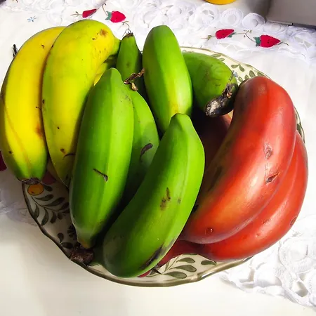 Tatil Evi Casa Emilia *